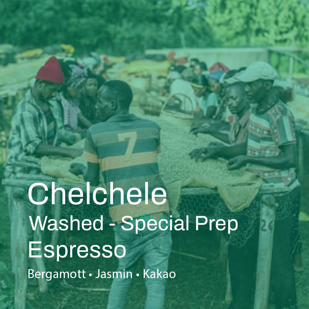 Äthiopien Chelchele Washed SP Espresso