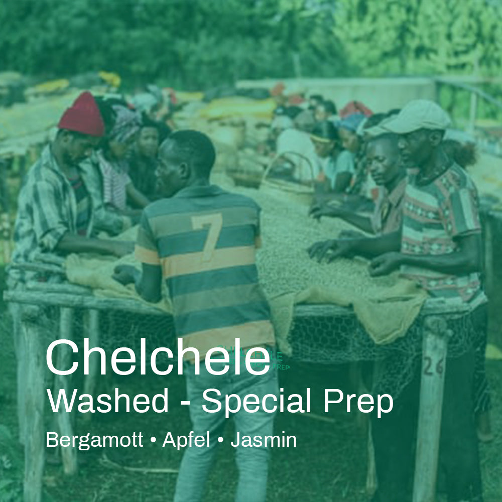 Ethiopia Halo Beriti Washed