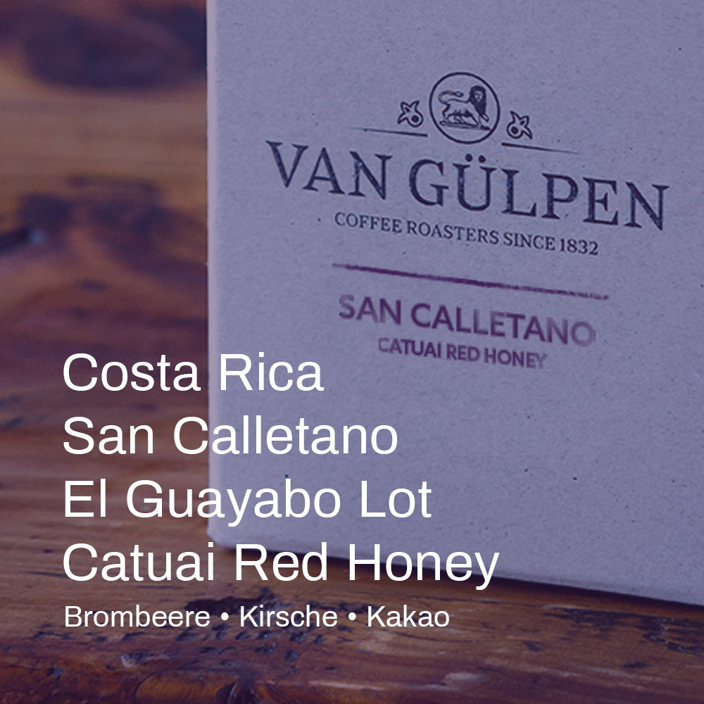 Costa Rica Finca San Calletano - El Guayabo Lot