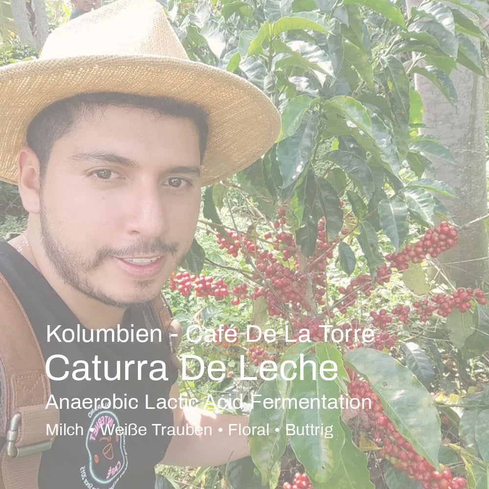 Kolumbien - Café de la Torre - Caturra de Leche