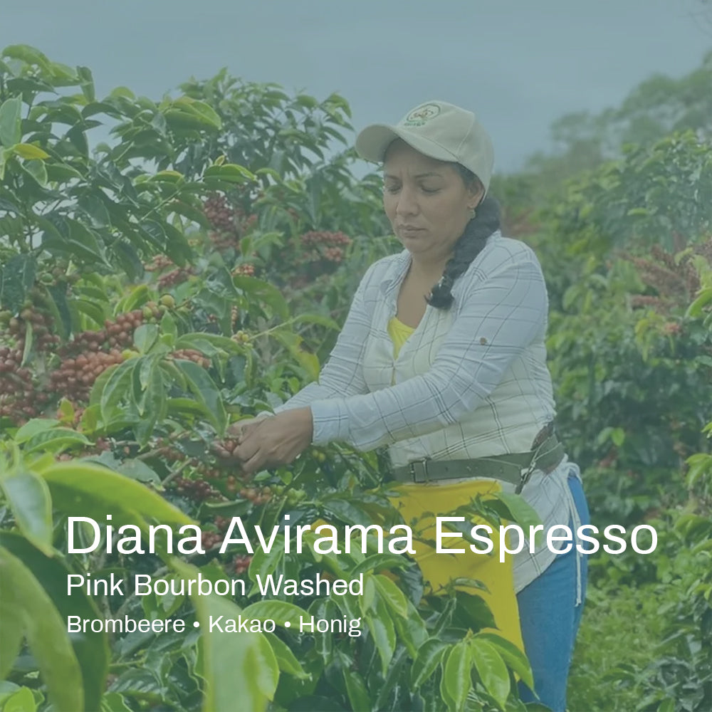 Kolumbien Diana Avirama Pink Bourbon Espresso