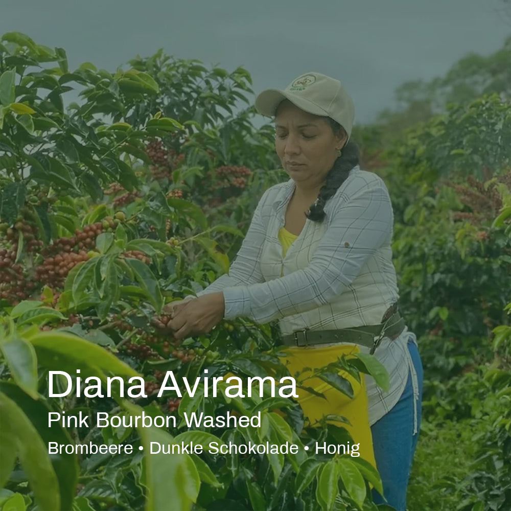 Weihnachtsespresso - Kolumbien Diana Avirama