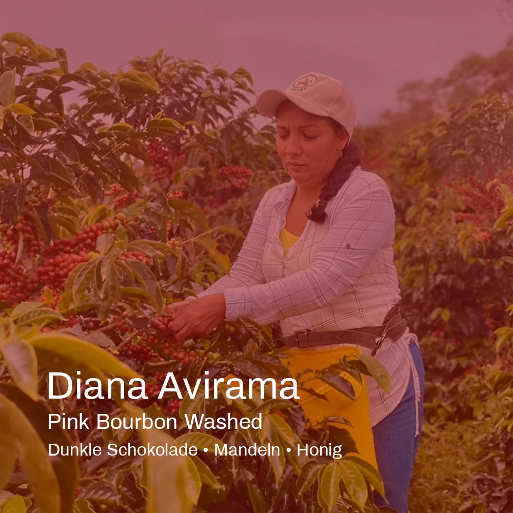 Weihnachtsfilter - Kolumbien Diana Avirama