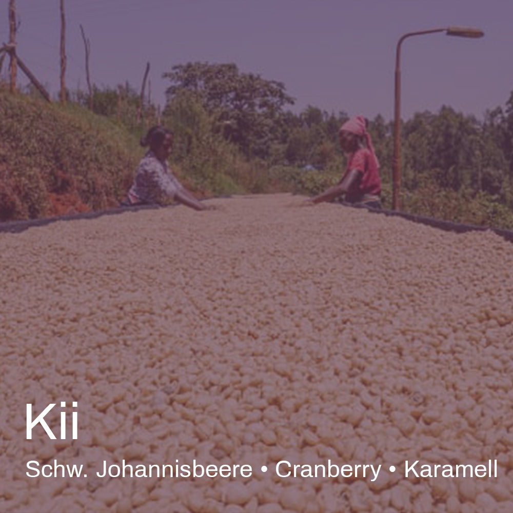 Kenya Gachatha AA