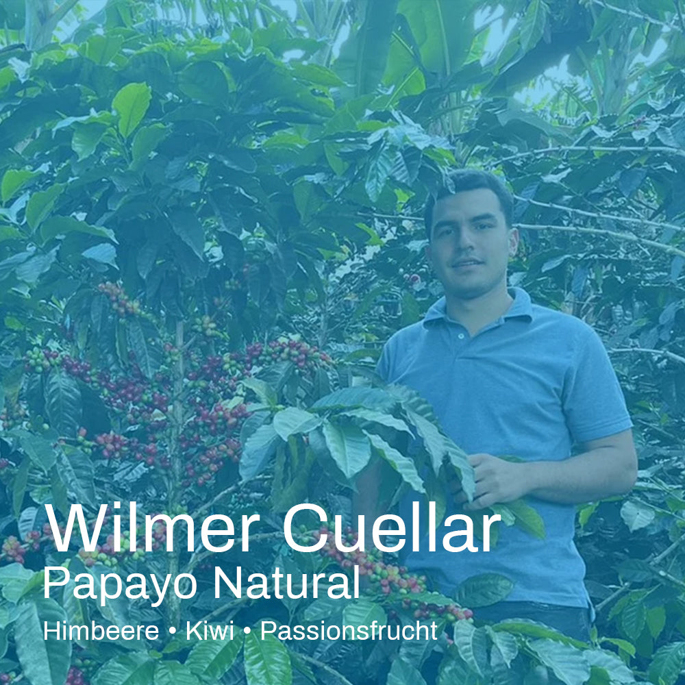 Colombia Wilmer Cuellar Papayo Natural