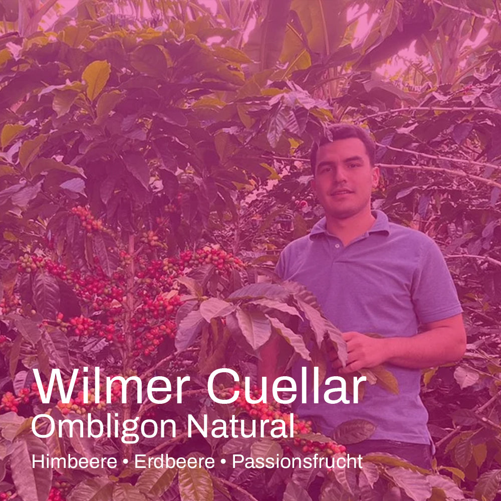 Kolumbien Wilmer Cuellar Ombligon Natural
