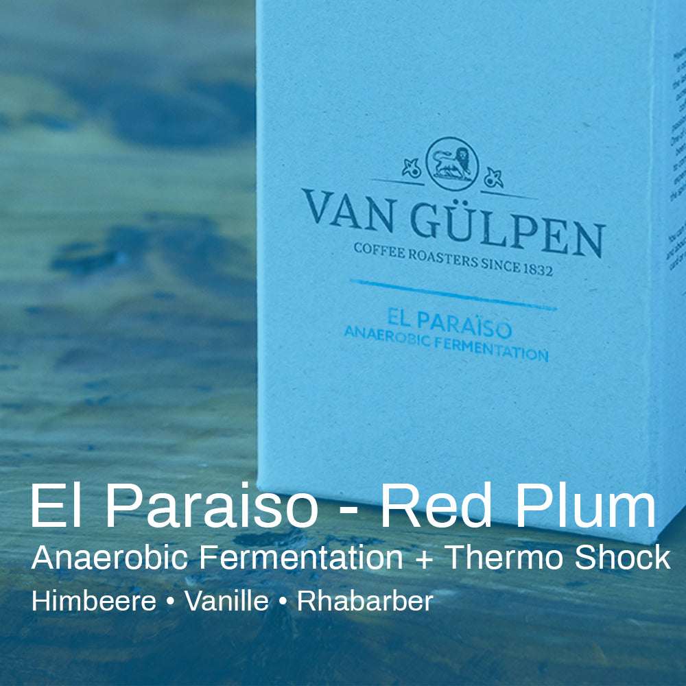 Kolumbien El Paraiso - Red Plum
